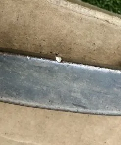 Right Handed Ping Scottsdale PO BOX 1345 CUSHIN 35″ Putter Steel Golf Club -Fairway Woods Soldes Magasin Right Handed Ping Scottsdale PO BOX 1345 CUSHIN 35 Putter Steel Golf Club 202725073949 6